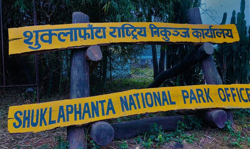 निकुञ्ज घुम्ने बाह्य पर्यटक घटे, आन्तरिक बढे