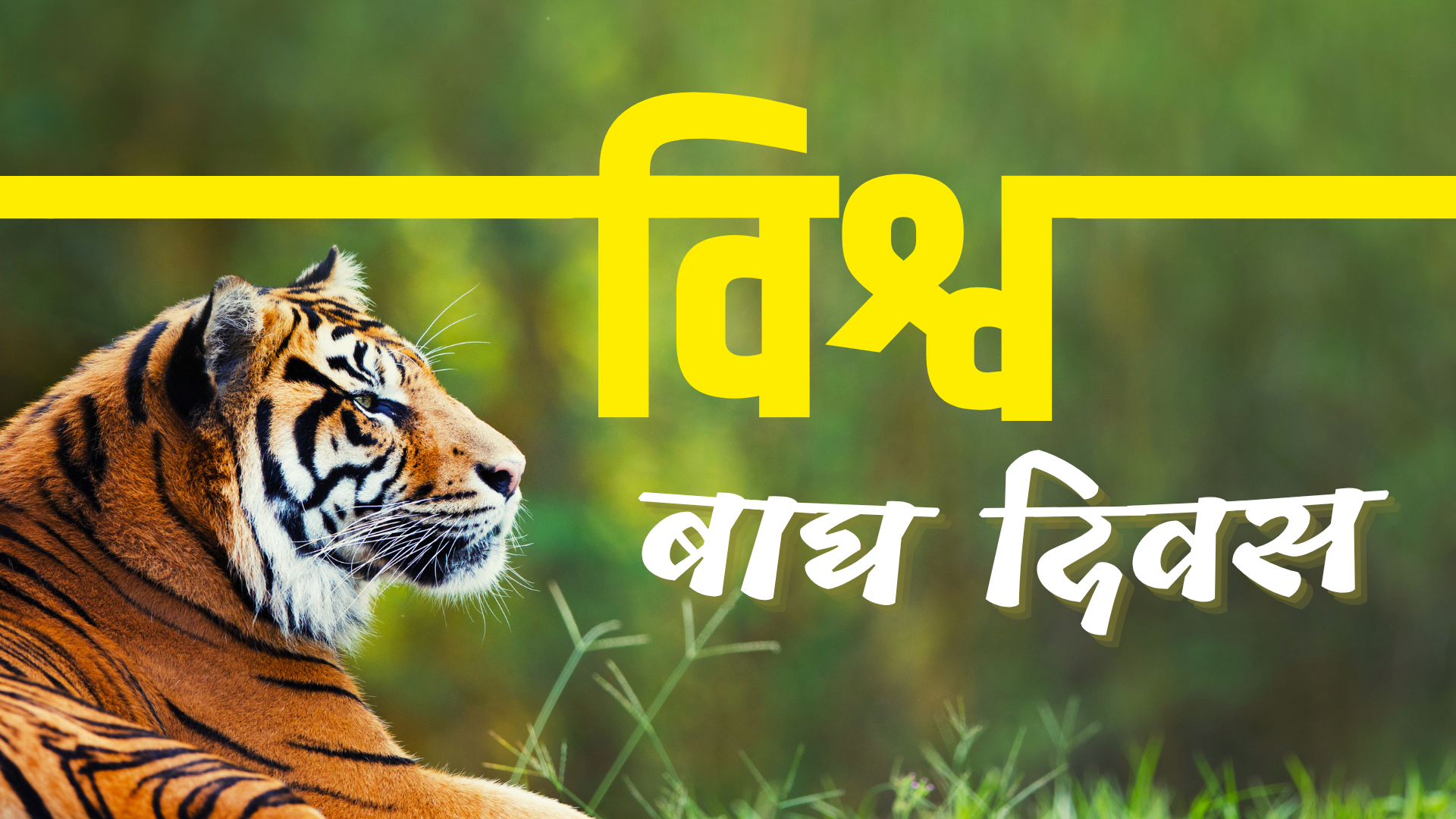 Int’l Tiger Day 2025 being observed in Nepal