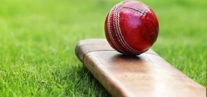 यूएईसँगको खेलमा नेपाल पराजित