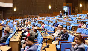 विपद्बाट हुनसक्ने क्षति न्यूनीकरण गर्न सरकारको ध्यानाकर्षण