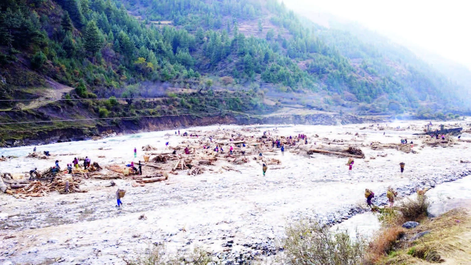 जैमिनी बाढीः तीन सय रोपनी खेत बन्यो बगर