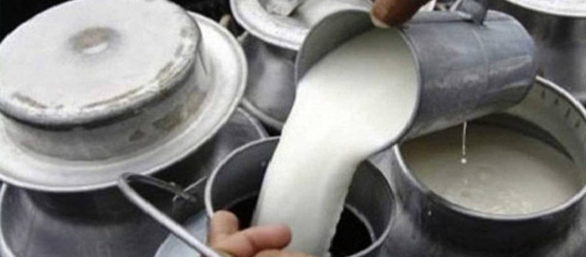 दूध किसानलाई १२ करोड