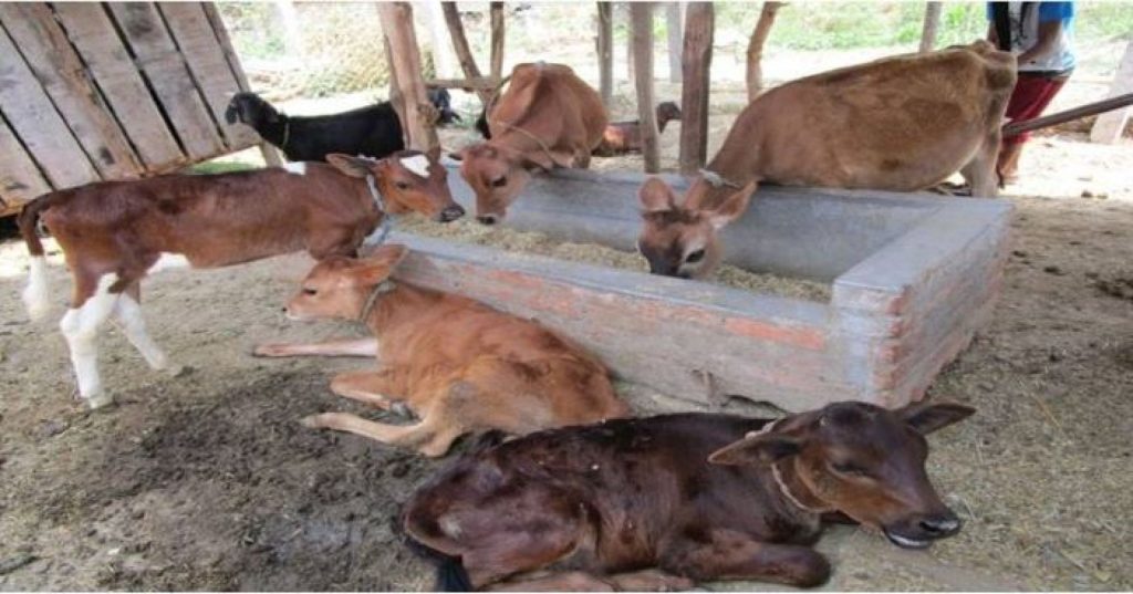 पाडीबाच्छी हुर्काउन ३० लाख अनुदान