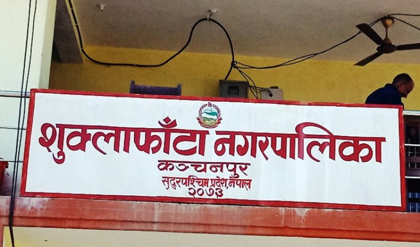 भकारीदेखि फर्निचरसम्म : हिमाली डगौराको बेतबाँस यात्रा