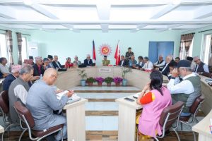 एमाले केन्द्रीय कमिटी बैठकमा केन्द्रीय सदस्यले धारणा राख्ने क्रम जारी एमाले केन्द्रीय कमिटी बैठकमा केन्द्रीय सदस्यले धारणा राख्ने क्रम जारी
