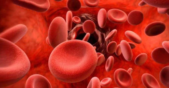 एकै दिन एक हजार दुई सयभन्दा बढी पिन्ट रगत संकलन