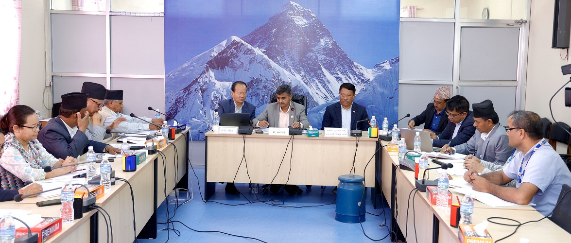 क्रिकेट मैदान स्तरोन्नतिको कार्यप्रगति उपलब्ध गराउन निर्देशन