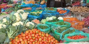 तरकारीखेतीबाट बराहक्षेत्रका किसान आत्मनिर्भर