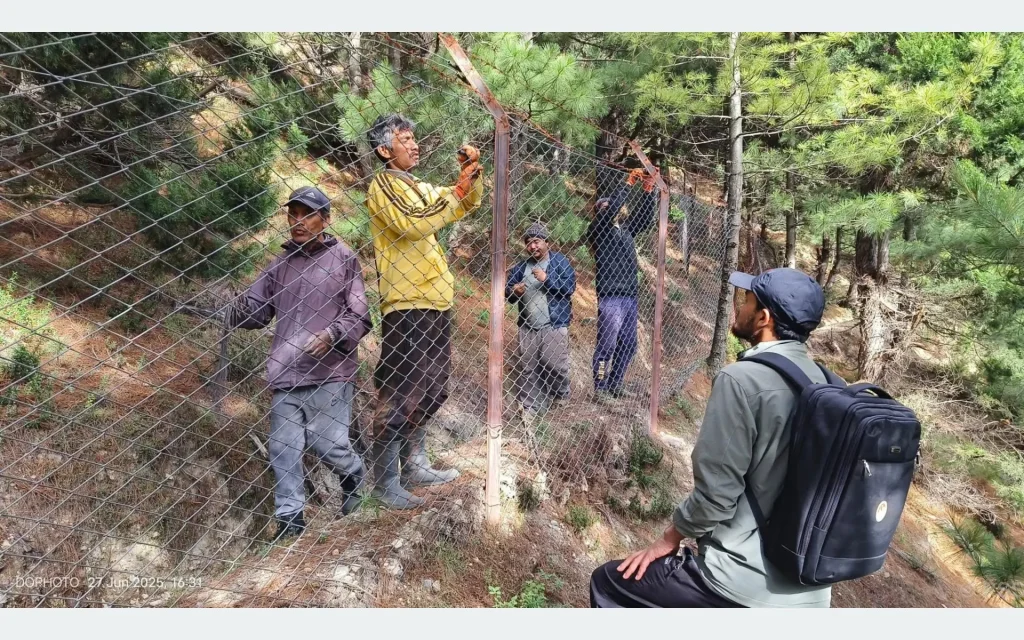 अन्नबाली जोगाउन मध्यरातसम्म गस्ती