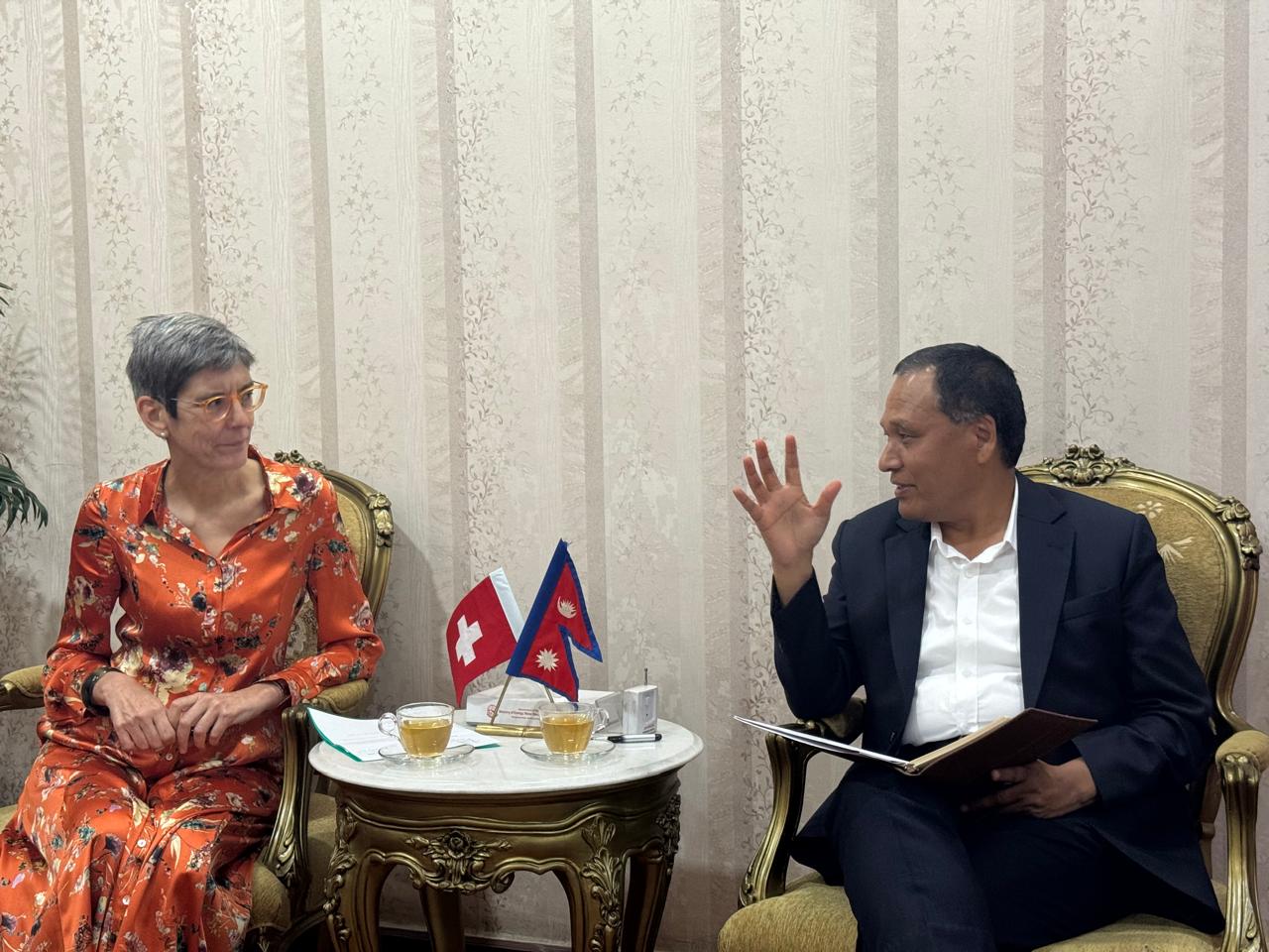 मन्त्रीघिसिङ र स्विस राजदूतबीच भेटवार्ता, ऊर्जा–पूर्वाधार क्षेत्रमा स्विस सहयोग निरन्तर रहने