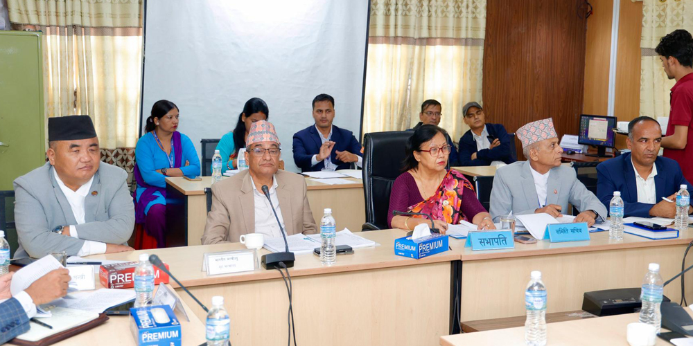 राज्य व्यवस्था समितिको बैठक बीचैमा स्थगित