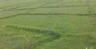 सार्वजनिक जग्गा संरक्षण गरी चिस्यान केन्द्र निर्माण