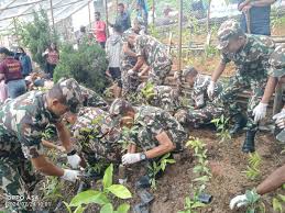नेपाली सेनाद्वारा वीरगञ्जमा वृक्षरोपण
