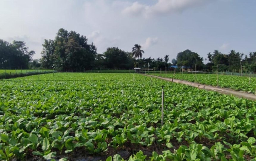 नेपाल कृषि प्रधान देश भएकाले कृषि प्रधान नीति बनाउनुपर्नेमा जोड