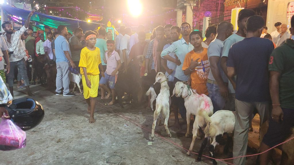 राजदेवी मन्दिरमा १४ हजार ९ सय ३ बोकाको बलि प्रदान