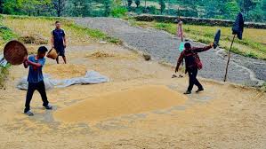 पर्वतमा ६५ करोडको कृषिजन्य वस्तुको कारोबार