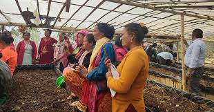 जैविकखेती प्रवर्द्धन गर्न गड्यौला मल उत्पादनमा जोड दिँदै पौवादुङमा