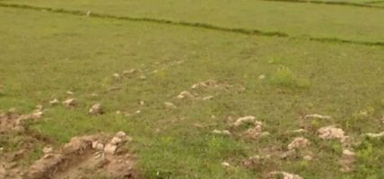 पन्ध्र हजार हेक्टर जमिन बाँझै