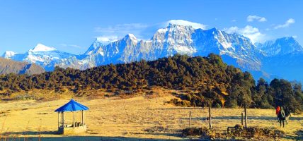 सडक नखुल्दा जलजला पुग्न पाएनन् पर्यटक