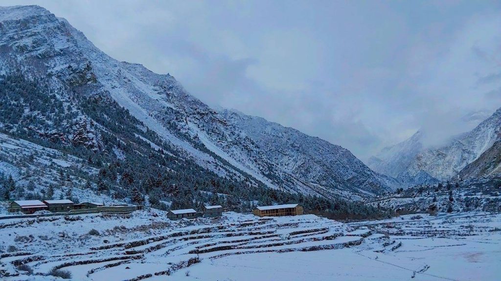 लिमी चौकीमा फर्किए सुरक्षाकर्मी