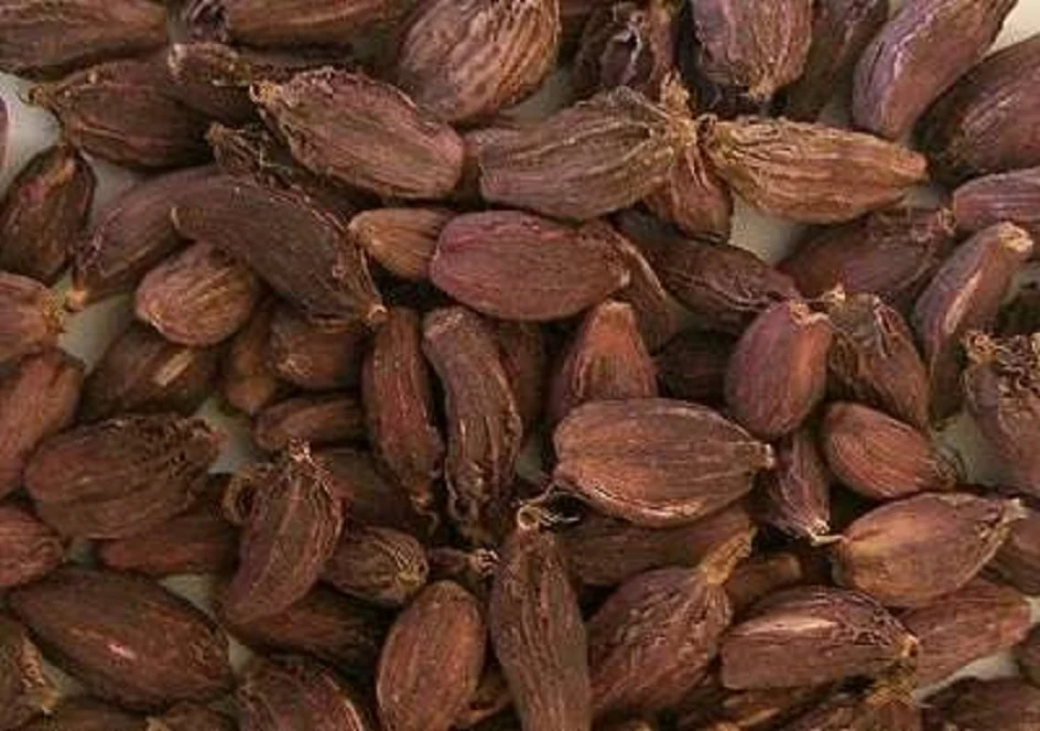 काँकडभिट्टा नाकाबाट सबैभन्दा बढी अलैँची निर्यात