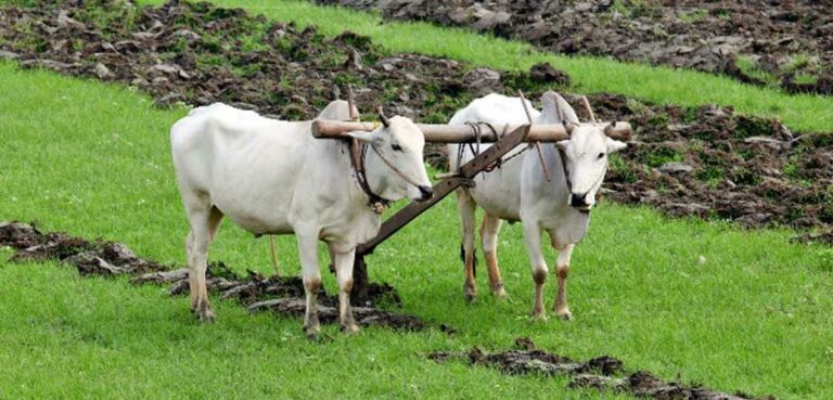 कृषक पाठशालालाई २८ लाखका कृषि सामाग्री प्रदान