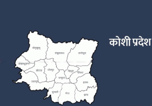 कोशी प्रदेशमा ४२ हिमताल उच्च जोखिममा