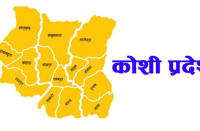 ‘स्थानीयस्तरमा क्रिकेट खेलाडी उत्पादन गर्न आवश्यक सहयोग गरिने’