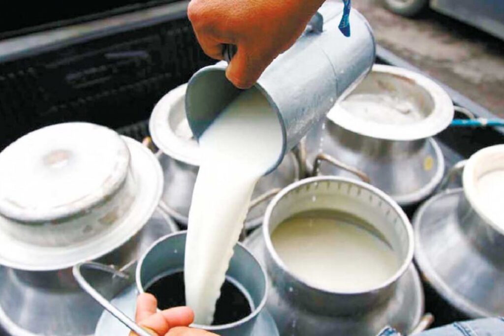 घरमै दूध बिक्न थालेपछि किसान उत्साहित