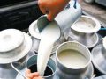 चितवनमा दूध बिक्री सहज, भुक्तानीमा समस्या