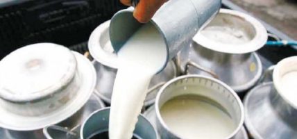 चितवनमा दूध बिक्री सहज, भुक्तानीमा समस्या