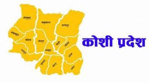 प्रत्येक स्थानीय तहमा सामुदायिक बीउ बैंक स्थापना गर्न जोड