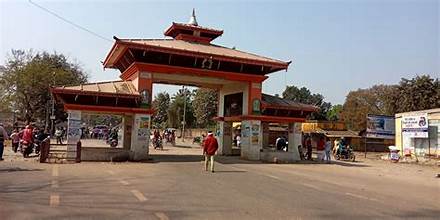 नेपालगञ्ज नाकाबाट जडीबुटी निर्यात बढ्यो