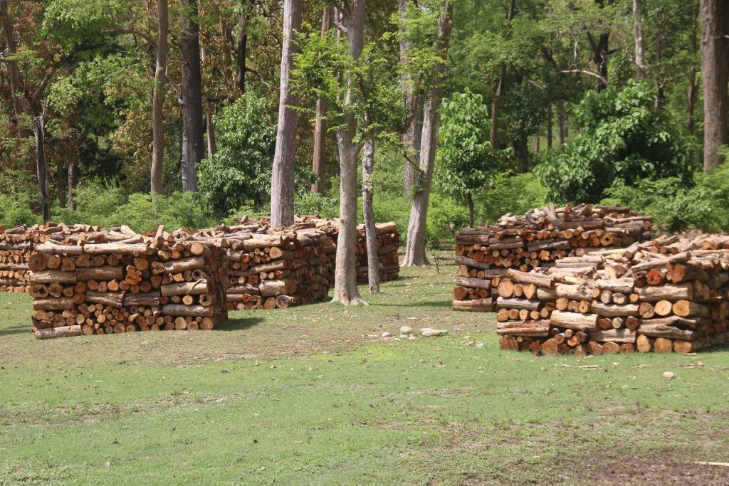 चुली ढडमेला सामुदायिक वन उपभोक्ता समूहका तत्कालीन पदाधिकारीविरुद्ध भ्रष्टाचार मुद्दा दायर