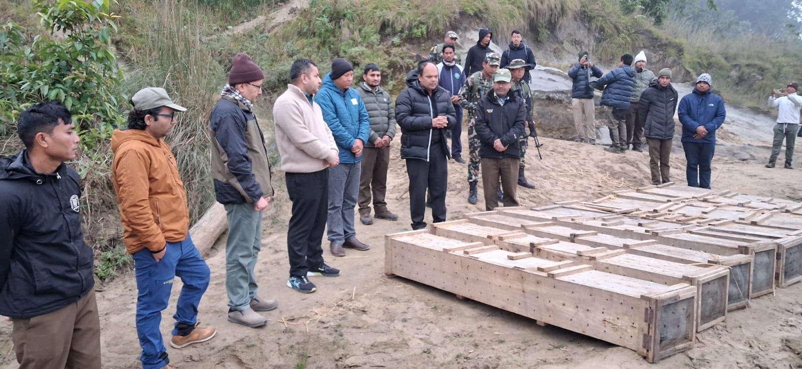 १० वटा घडियाल गोही प्राकृृतिक बासस्थानमा छाडियो