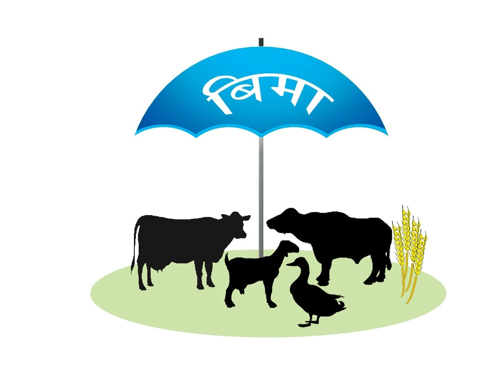 जीवन बिमा शुल्कबाट एक खर्ब २७ अर्ब ६९ करोड सङ्कलन
