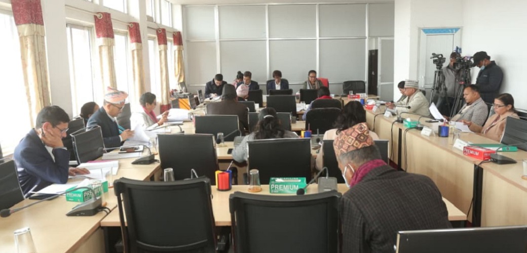 चलचित्र विधेयक, २०८१ सम्बन्धी प्रतिवेदन समितिबाट पारित