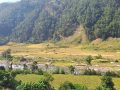 दैलेखेको भगवतीमाईमा दुई बालिका मृत फेला दैलेखेको भगवतीमाईमा दुई बालिका मृत फेला