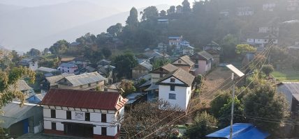 किसानलाई बाँदरको चिन्ता, समात्नेलाई एक हजार नगद