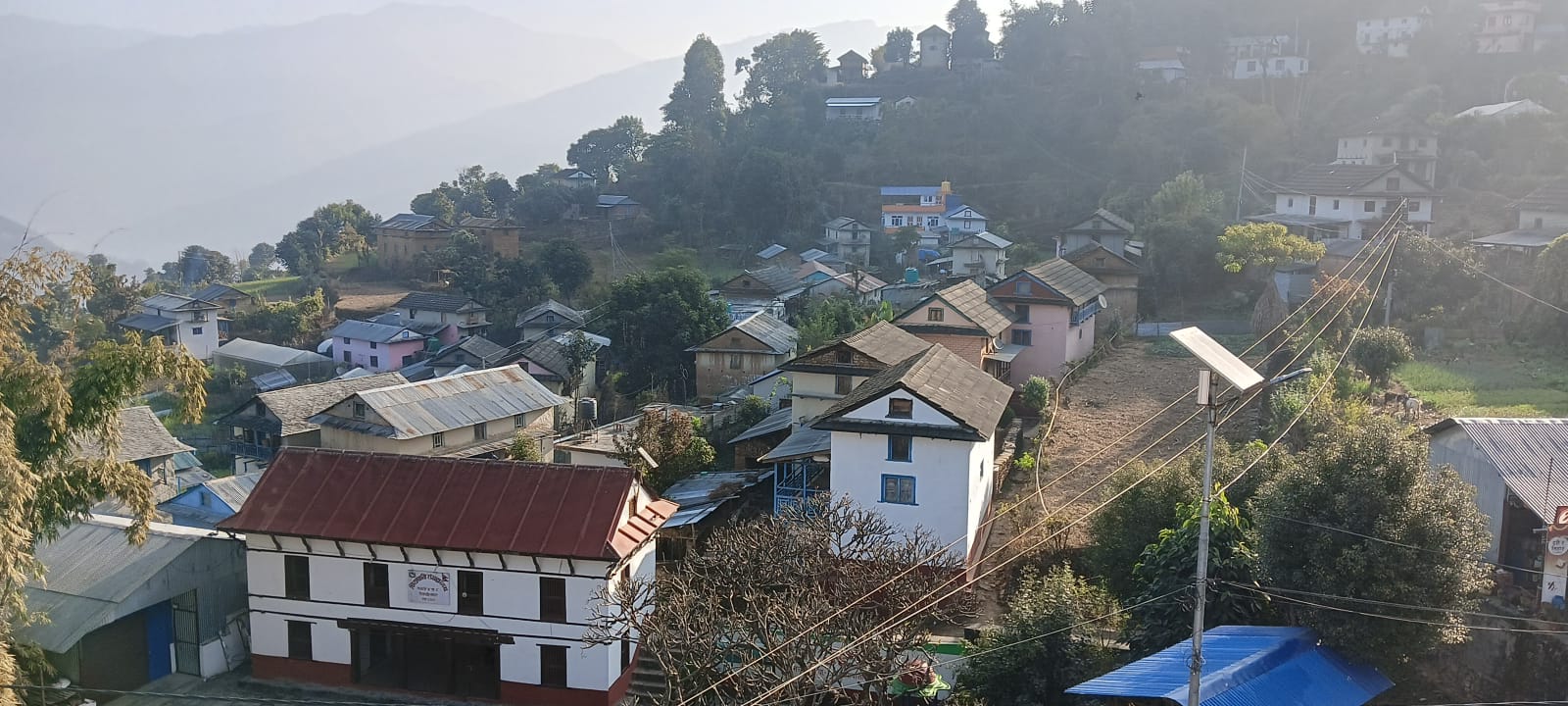 किसानलाई बाँदरको चिन्ता, समात्नेलाई एक हजार नगद