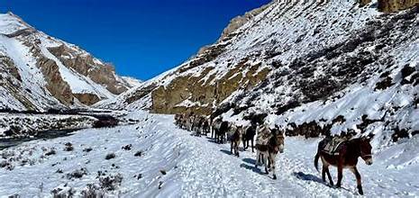 उपल्लो डोल्पाका हिउँ छिचोलेर घोडाबाटै सुरक्षा गस्ती