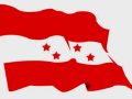 कांग्रेसले संसद्मा पार्टीको भूमिका थप प्रभावकारी बनाउने