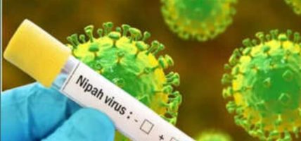 निपाह भाइरसको सङ्क्रमण फैलिन नदिन पश्चिमी नाकामा निगरानी