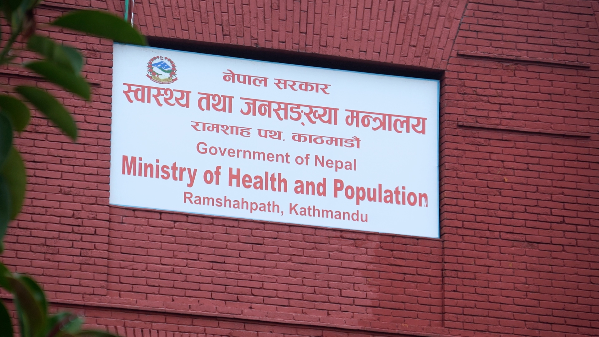 नेपालमा निपाह भाइरसको जोखिम न्यून भए पनि सतर्क रहन स्वास्थ्य मन्त्रालयको आग्रह