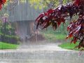 आज देशका विभिन्न स्थानहरुमा वर्षा हुने