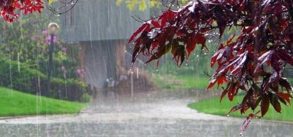 आज देशका विभिन्न स्थानहरुमा वर्षा हुने