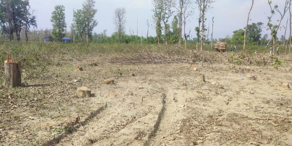 दोधारा चादँनी सुक्खा बन्दरगाहको भौतिक प्रगति चार प्रतिशत