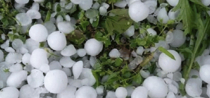 असिनाले ७४ सवारीसाधनमा क्षति