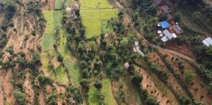 व्यावसायिक फलफूल खेतीतर्फ भुल्केका किसानको आकर्षण