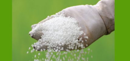 निजी फर्मले मल बिक्रीको अभिलेख राखेको भेटिएन